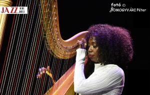 A HÁRFA OTTHONRA LELT