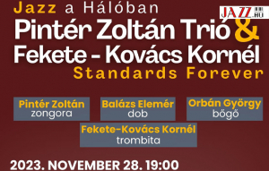 Hálóban a Pintér Zoltán Trió & Fekete-Kovács Kornél