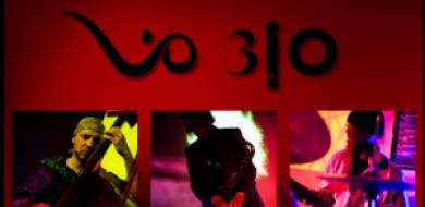 ViO 3iO – ViOlogy